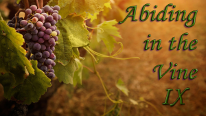 Abiding in the Vine IX