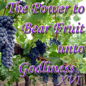 Bearing Fruit Template 16