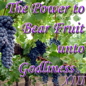 Bearing Fruit XIII