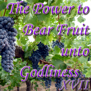 Bearing Fruit Template 17