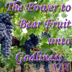 Bearing Fruit XIX