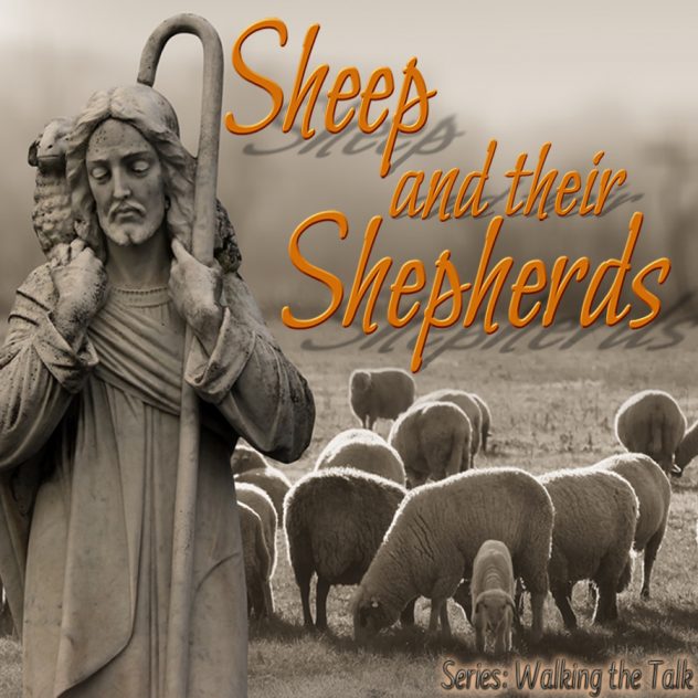 Sheep Conscience