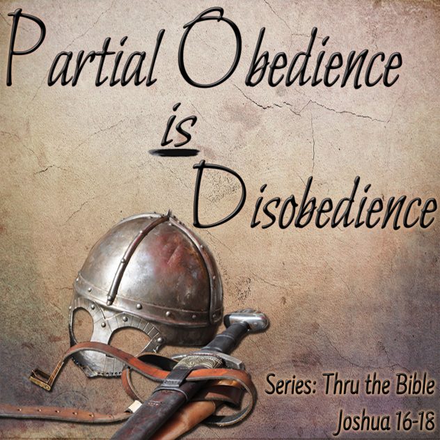 Partial Obedience